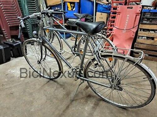 Raleigh Pardner ficha técnica y opiniones